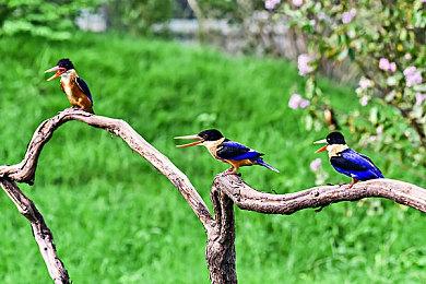 真实事件改编 国产恐怖游戏《残秽的我们》本月发售